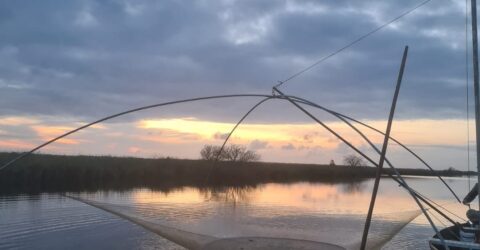 Pêche au carrelet